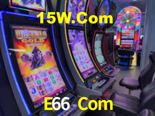 E66 Com
