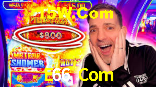 E66 Com