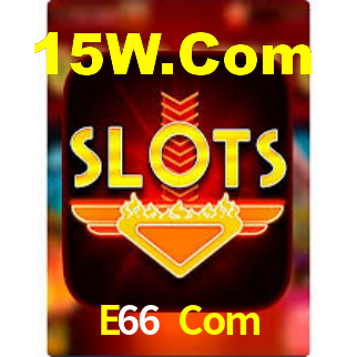 E66 Com - App Performance